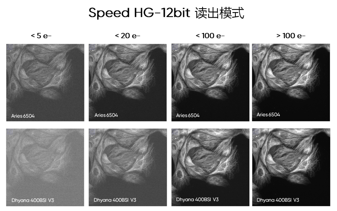 鑫圖Aries 6504 最新實(shí)測(cè)數(shù)據(jù)公布!