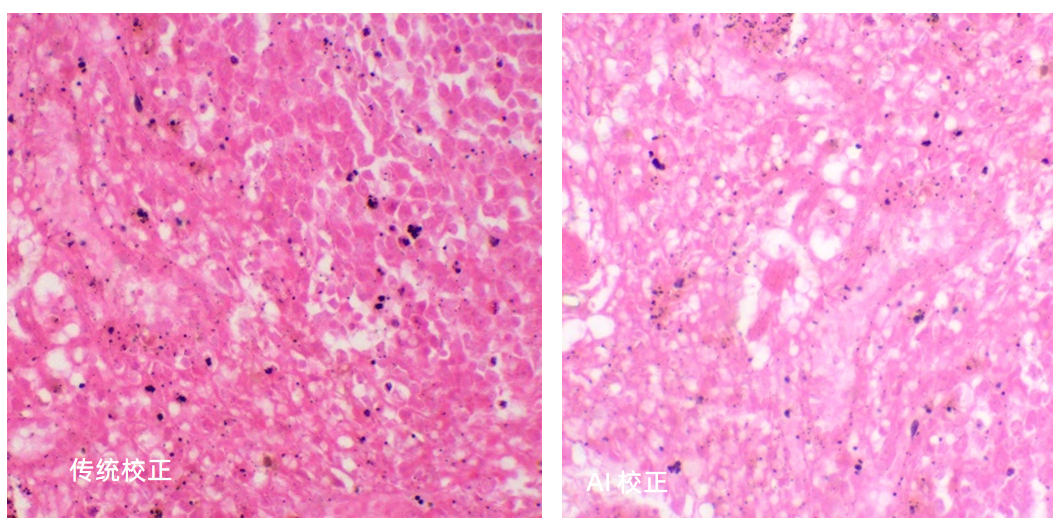 真實(shí)色彩還原，所見即所得